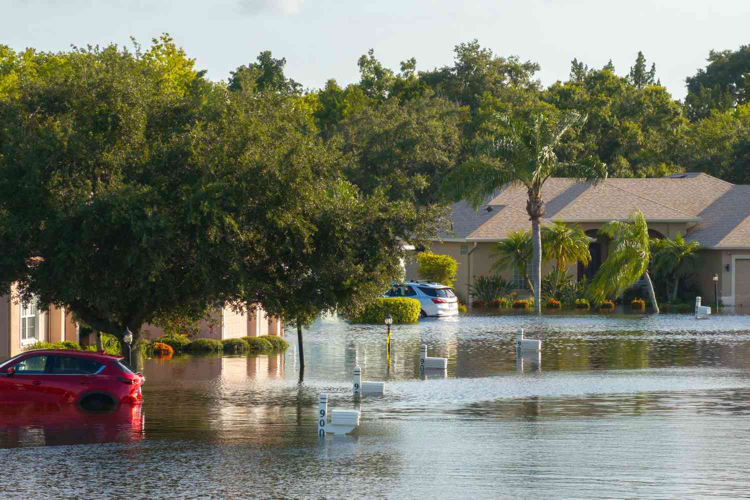 Flood Insurance